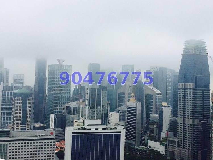 Blk 1C The Pinnacle@Duxton (Bukit Merah), HDB 5 Rooms #161330812